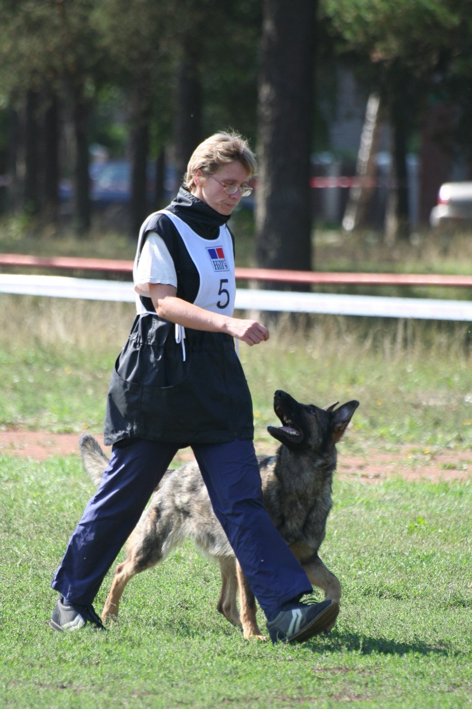 Dog in obedience training — best dog trainers in York