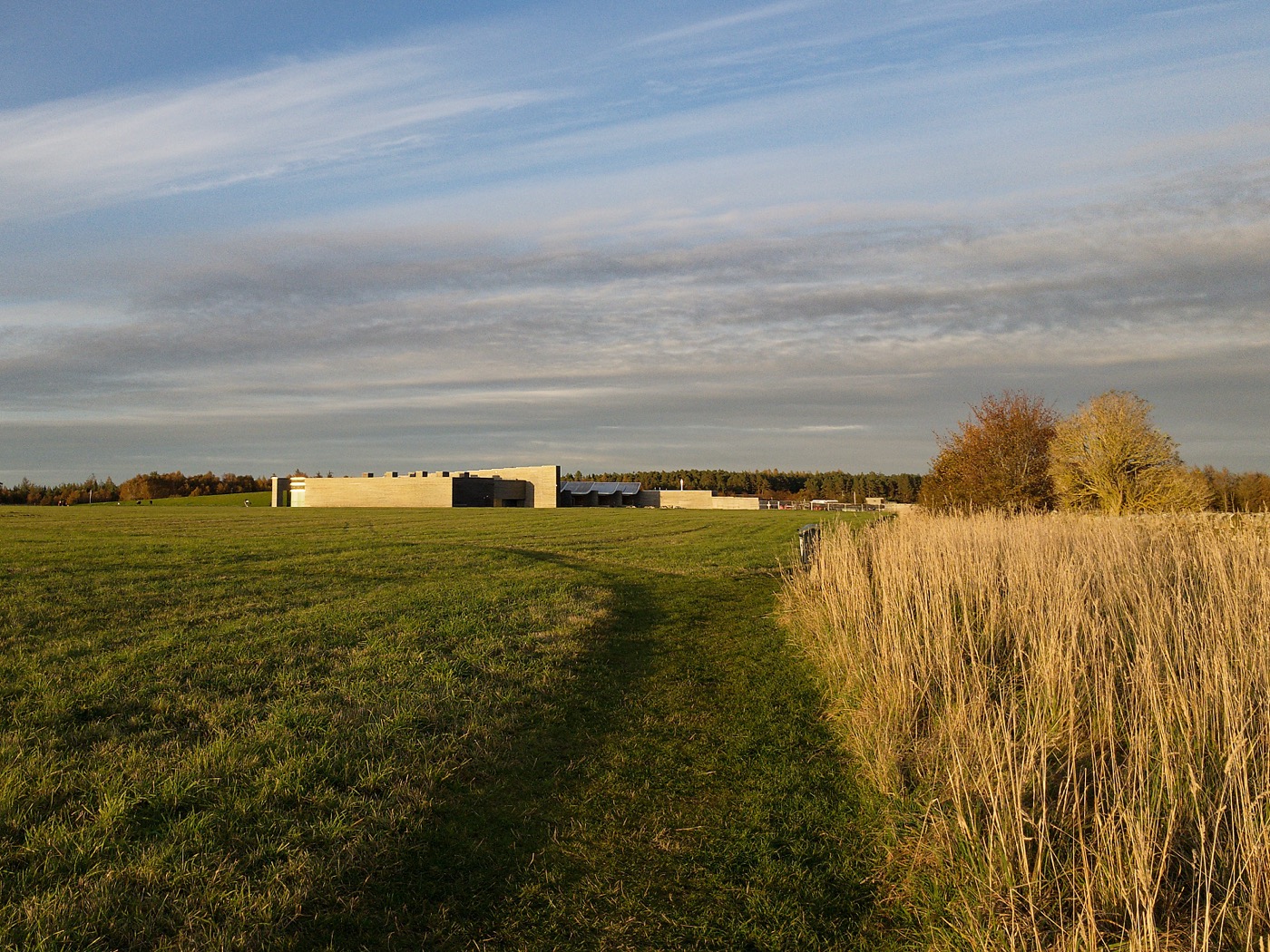 Dog walking on a quiet countryside path