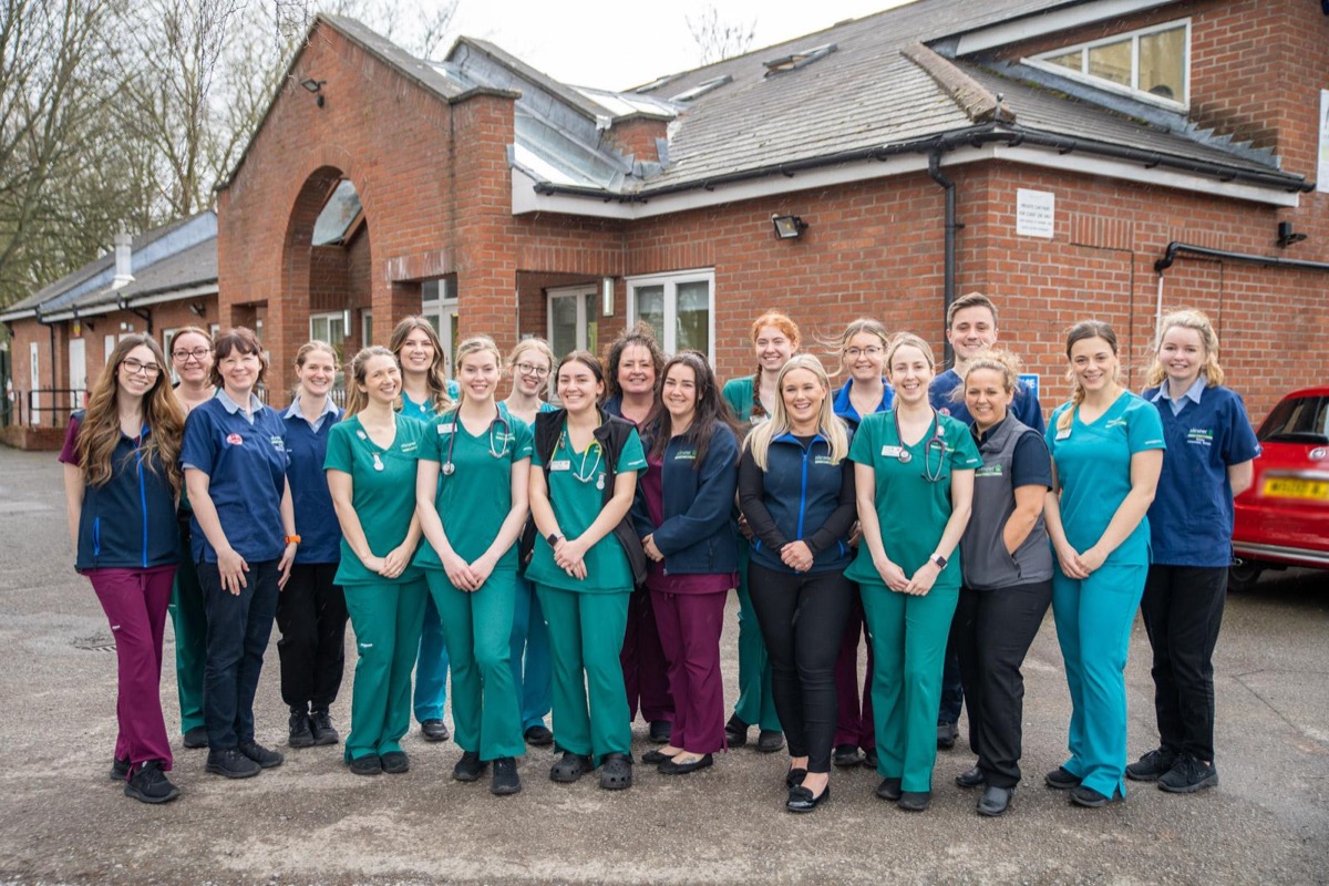 Emergency vet in York