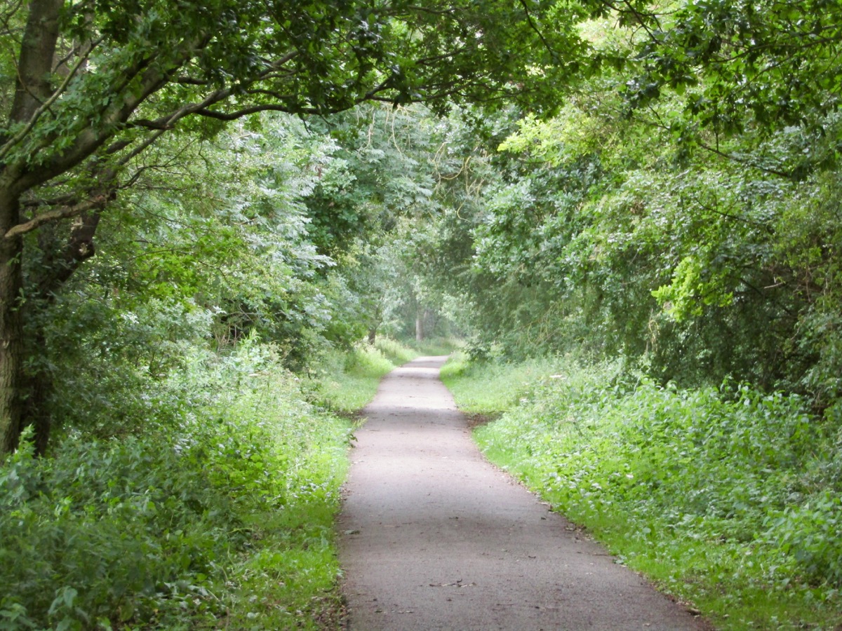 Solar System Trail paved path between Bishopthorpe and Riccall, near York