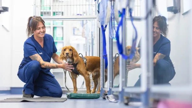 Swift Referrals veterinary emergency centre, Thorp Arch Estate, Wetherby
